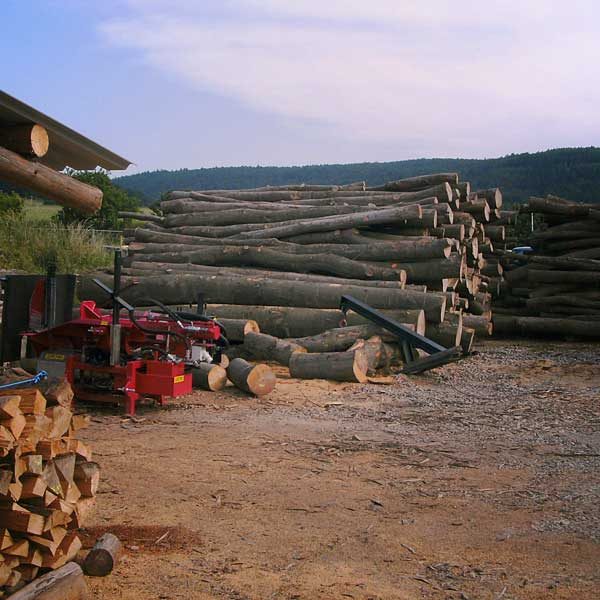 Aufarbeitung Stammholz Brennholzbearbeitung